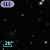 SLSBG 101