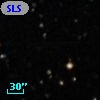 SLSBG 115