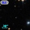 SLSBG 135
