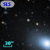 SLSBG 137