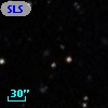 SLSBG 173