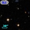 SLSBG 174