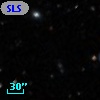 SLSBG 212