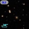 SLSBG 217