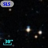 SLSBG 261