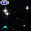 SLSBG 262