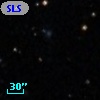 SLSBG 272