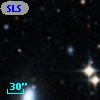 SLSBG 275