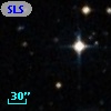 SLSBG 291