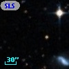 SLSBG 293