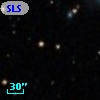 SLSBG 294
