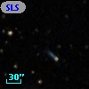 SLSBG 295