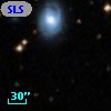 SLSBG 296