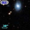 SLSBG 298
