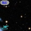 SLSBG 111