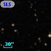 SLSBG 116