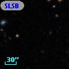 SLSBG  41