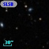 SLSBG  51