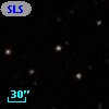 SLSBG 231