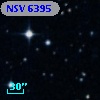 NSV  6395