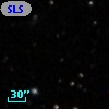 SLSBG 202