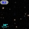 SLSBG 223
