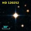 HD 120252