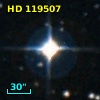 HD 119507