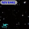 NSV  6441