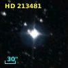 HD 213481