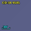 CD-34  9181
