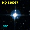 HD 120037