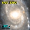 NVSS J135541+402748