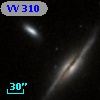 VV  310