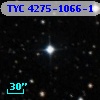 TYC 4275-1066-1
