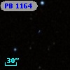 PB  1164