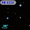 PB  1223