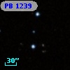 PB  1239