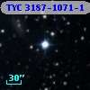 TYC 3187-1071-1
