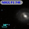 NOGG P1  748