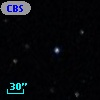 CBS 382