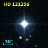 HD 121256