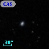 CASG 1197
