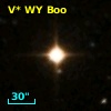 V* WY Boo