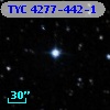 TYC 4277-442-1