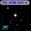 TYC 4290-873-1