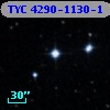 TYC 4290-1130-1