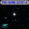 TYC 4290-1227-1