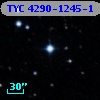 TYC 4290-1245-1