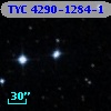TYC 4290-1284-1